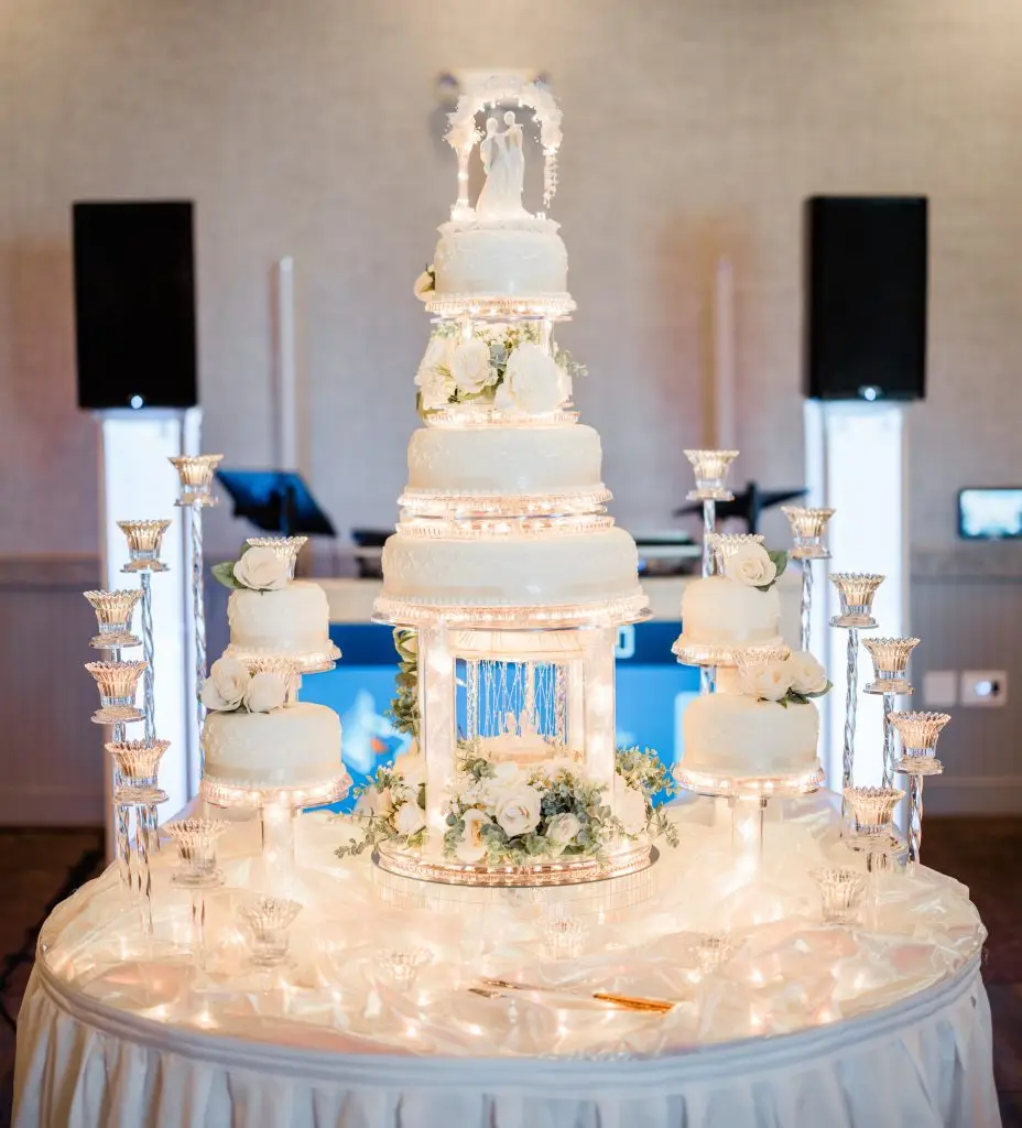 wed cake 4